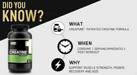 Optimum Nutrition Micronized Creatine Powder- the best supplements for muscle gain